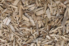 biomass boilers Ruxton