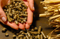 free Ruxton biomass boiler quotes